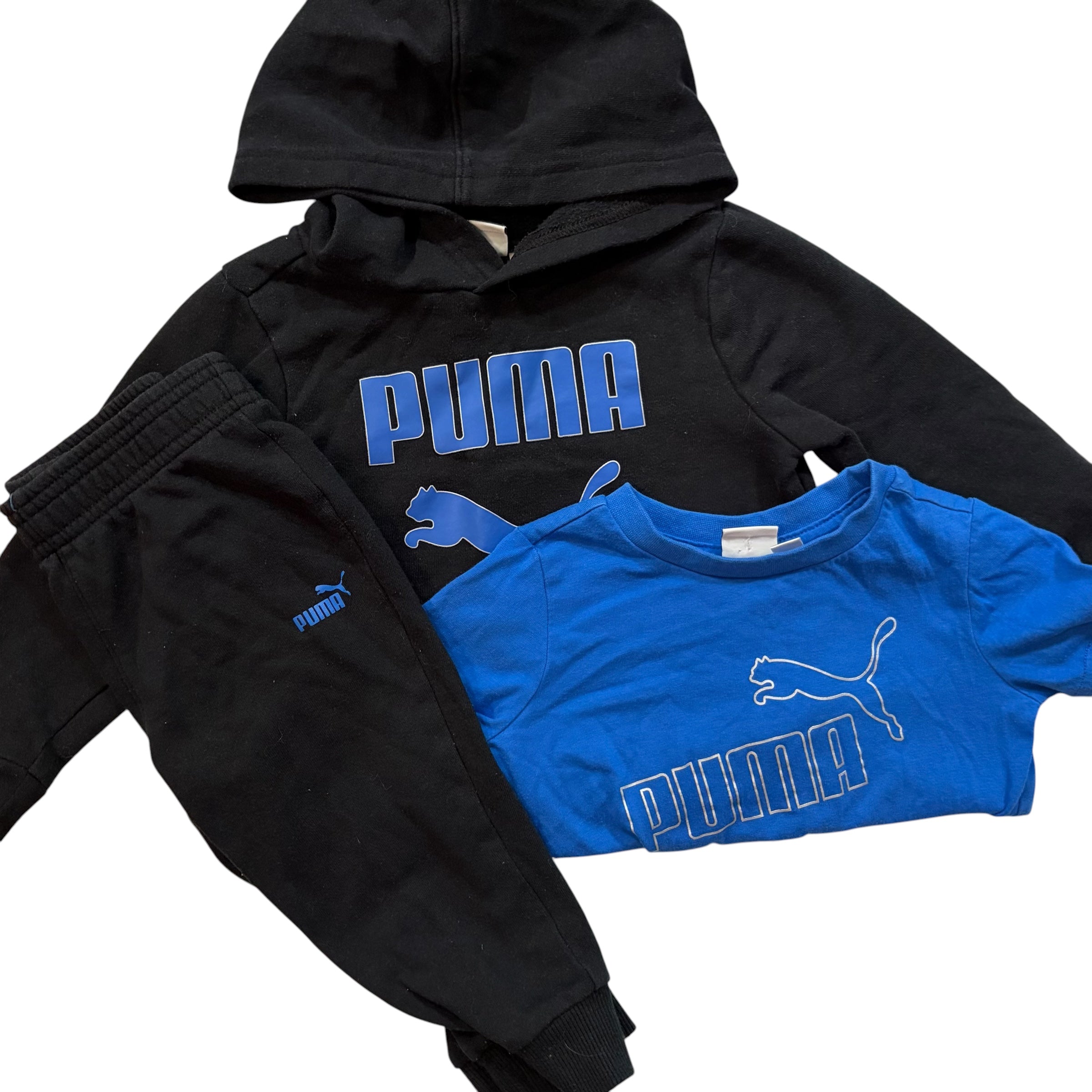 Puma - 18 mois