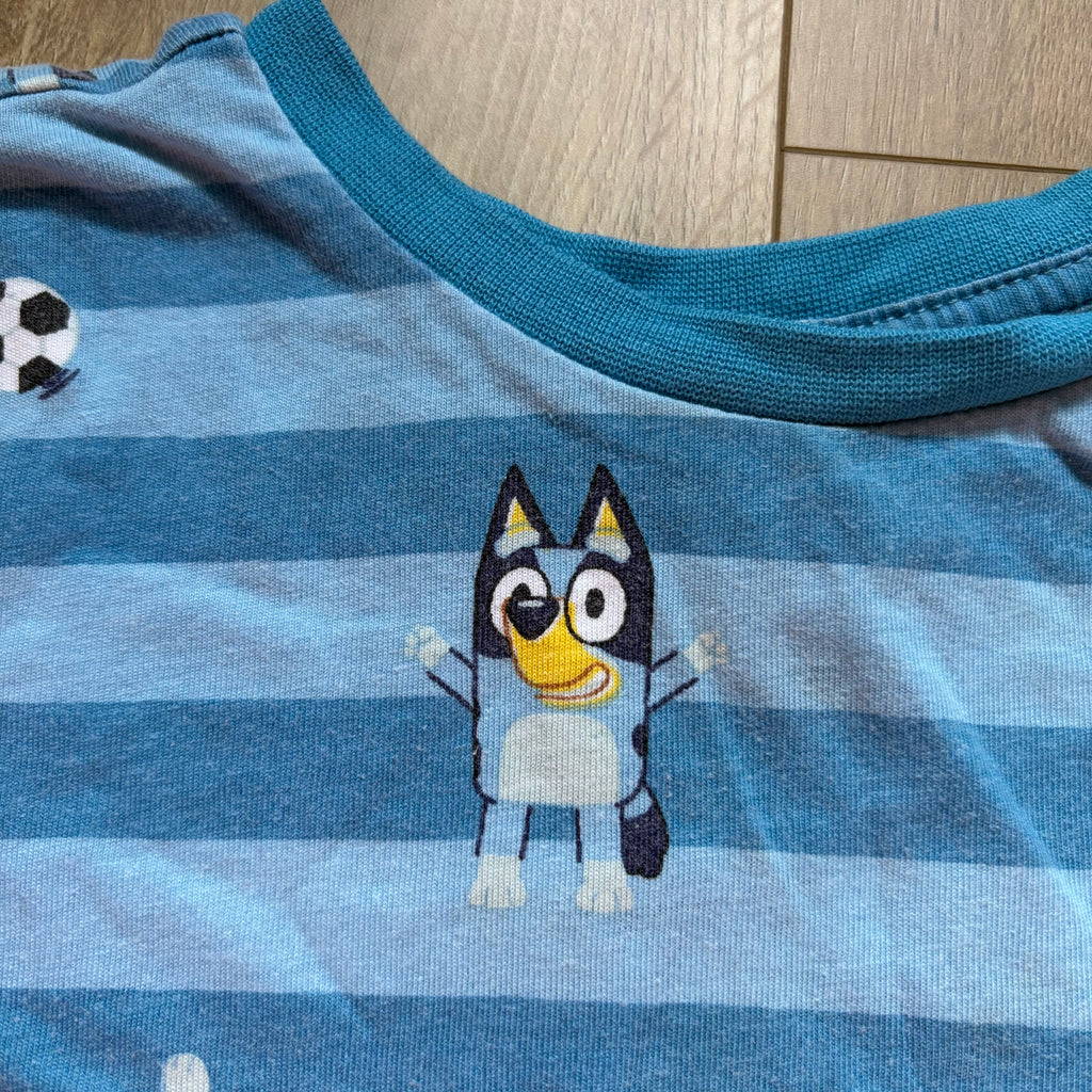IMPARFAIT - Bluey - 3 ans