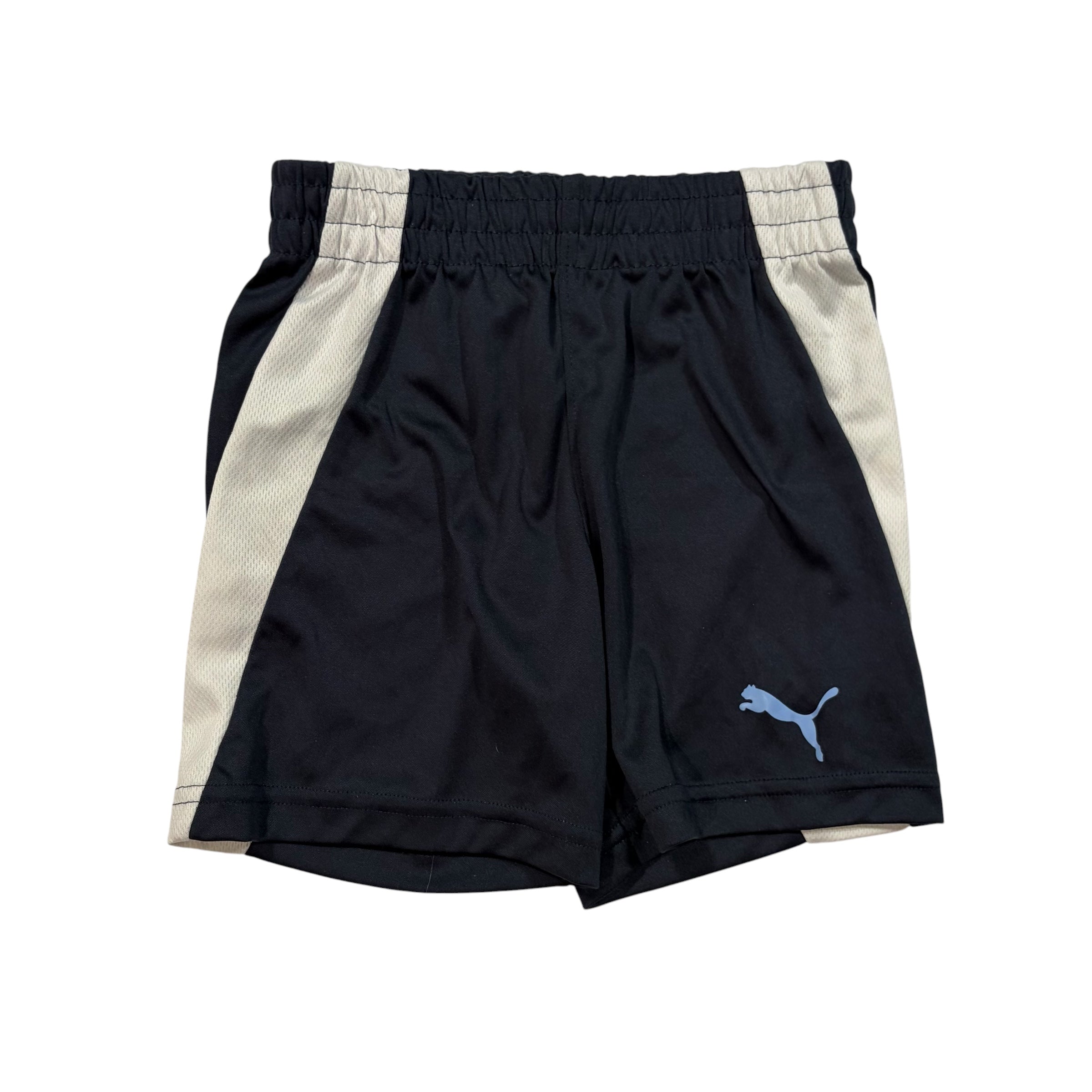 Puma - 2 ans